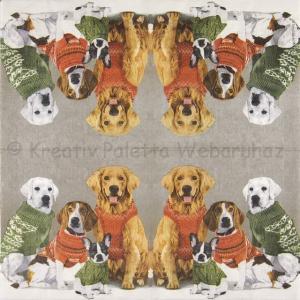 Szalvéta - kutyák pulcsiban