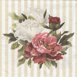 Szalvéta - levél Párizsból