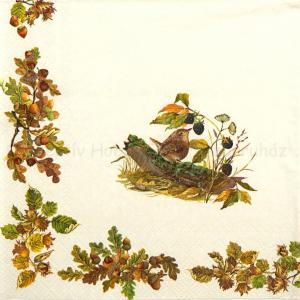 Szalvéta - őszi bordűr madarakkal