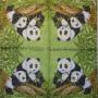Szalvéta - pandák