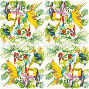 Szalvéta - papagáj ara