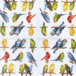 Szalvéta - papagájok - Birdies