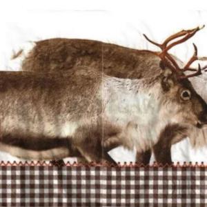 Szalvéta - rénszarvasok