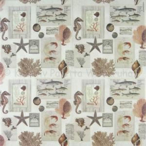 Szalvéta - tengeri élővilág