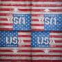 Szalvéta - USA