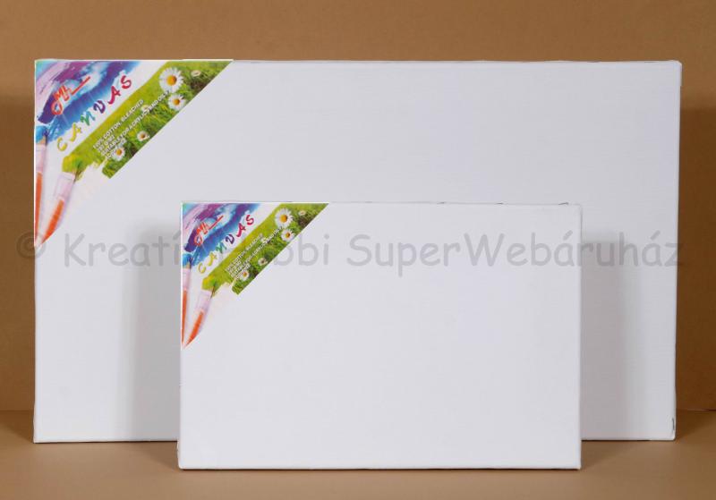 Feszített vászon 20 x 30 cm