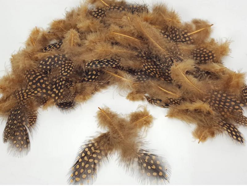 Gyöngytyúk toll 10 db rozsdabarna