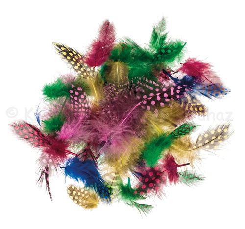 Gyöngytyúk toll, 10 db vegyes szín