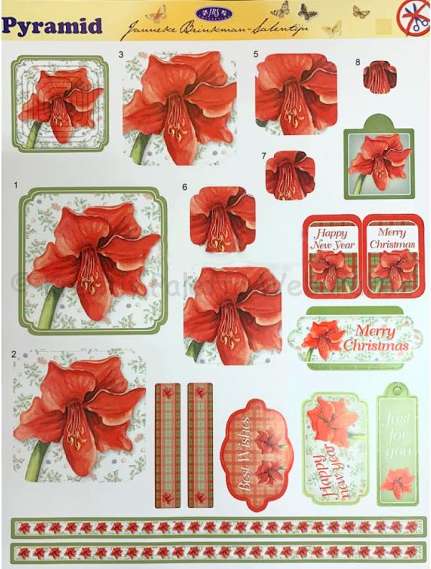 Karácsonyi Amarylis kivágások A4 -