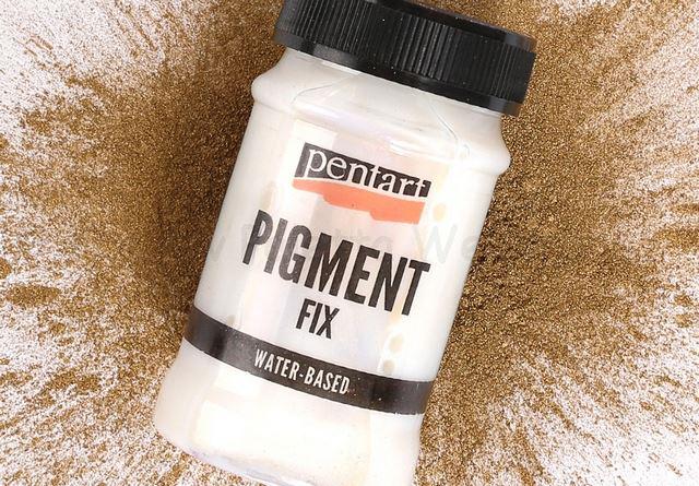 Pigment fix 100 ml