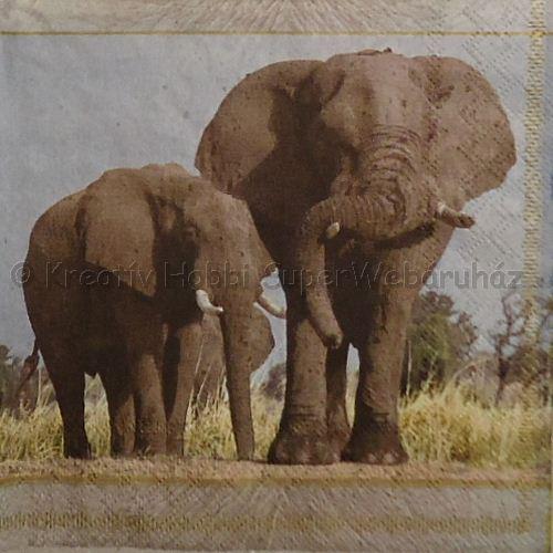 Szalvéta - afrikai elefántok