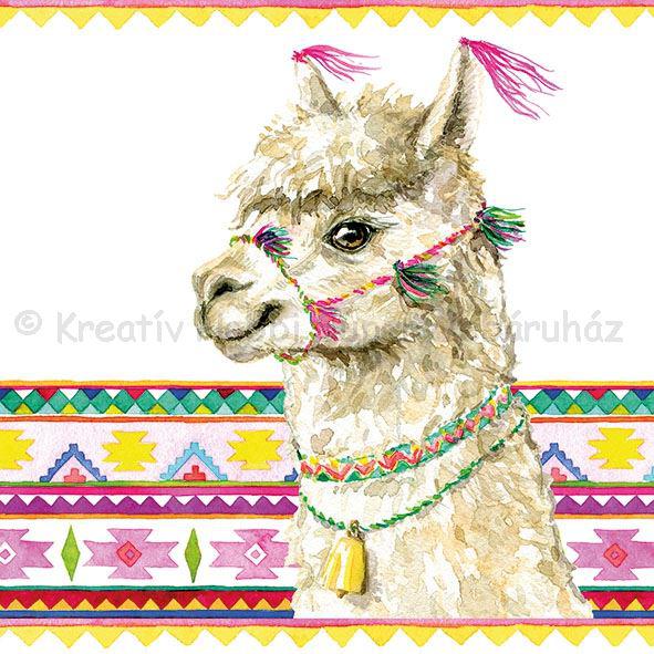 Szalvéta - alpaka - Alpaca