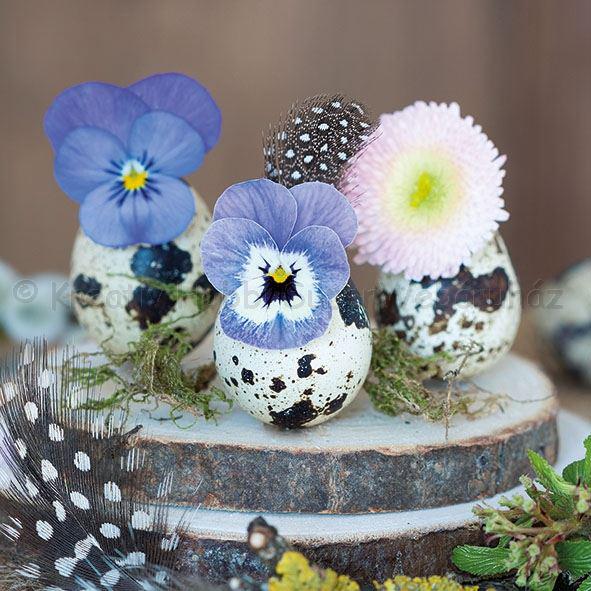 Szalvéta - árvácska