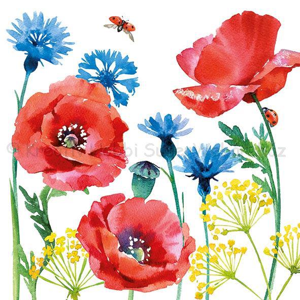 Szalvéta - búzavirág és pipacs - Cornflower and Poppy