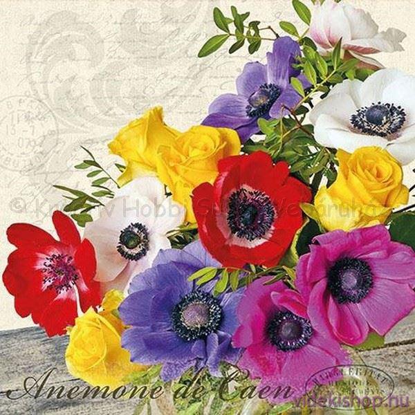 Szalvéta - ceani kökörcsin - Anemone De Caen