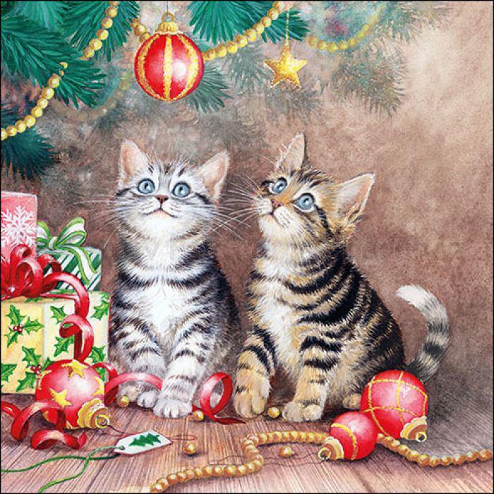 Szalvéta - cicák a karácsonyfa alatt