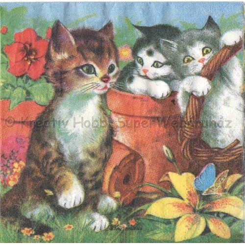 Szalvéta - cicák a kertben