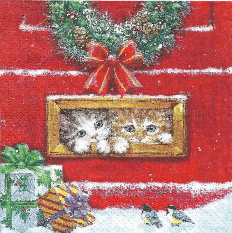 Szalvéta - cicák a levélbedobóban - Letterbox Talk