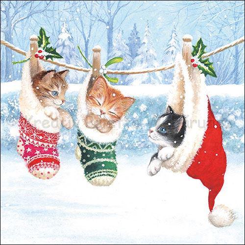 Szalvéta - cicák télen