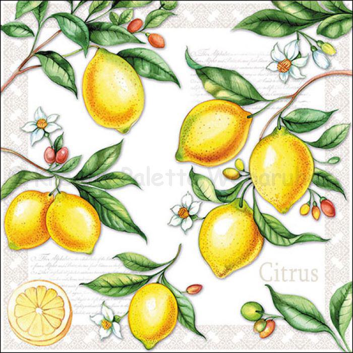 Szalvéta - citrom