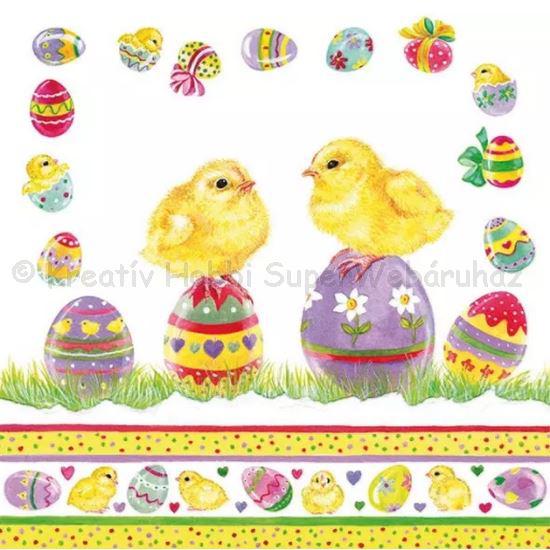 Szalvéta - csibék tojáson - Chicks on Eggs