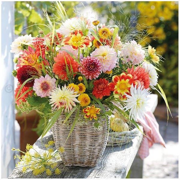 Szalvéta - dália csokor