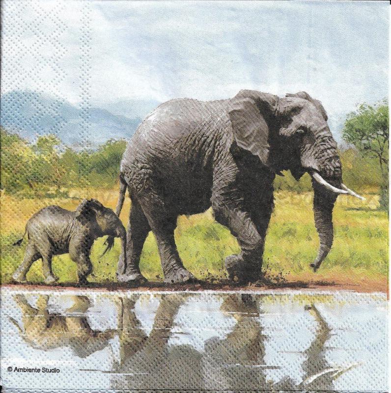 Szalvéta - elefánt - Elephant