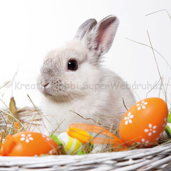 Szalvéta -  fehér nyuszi - White Rabbit