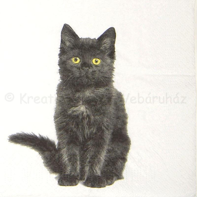 Szalvéta - fekete macska