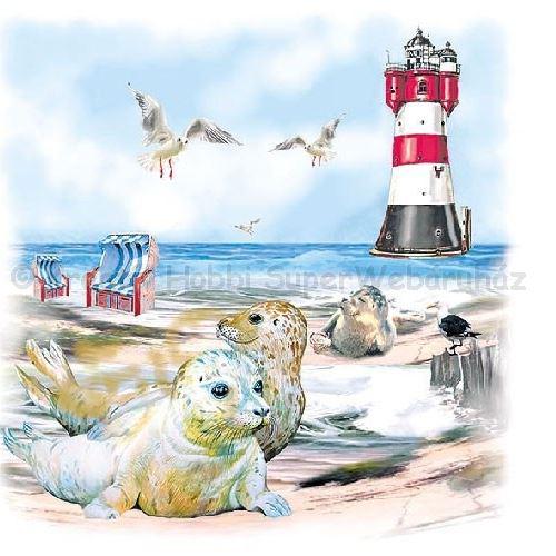 Szalvéta - fókák és világítótorony a tengerparton - Seals On The Beach