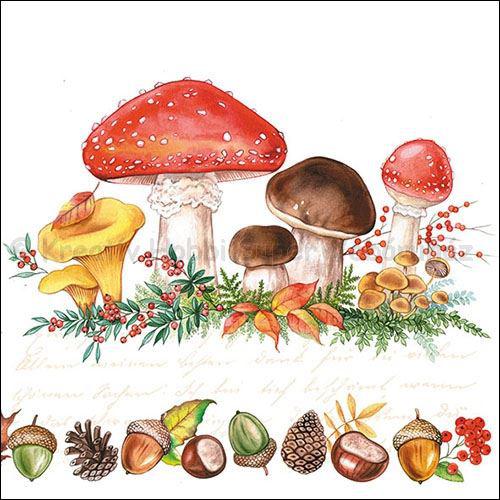Szalvéta - gombák - Mushrooms