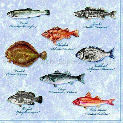 Szalvéta - halak - Fishes