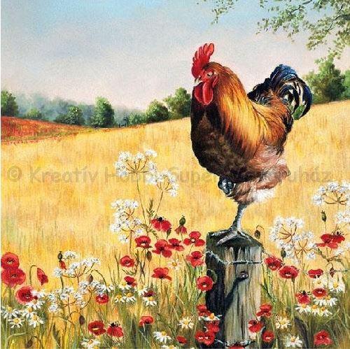 Szalvéta - kakas, koránkelő - Early Riser