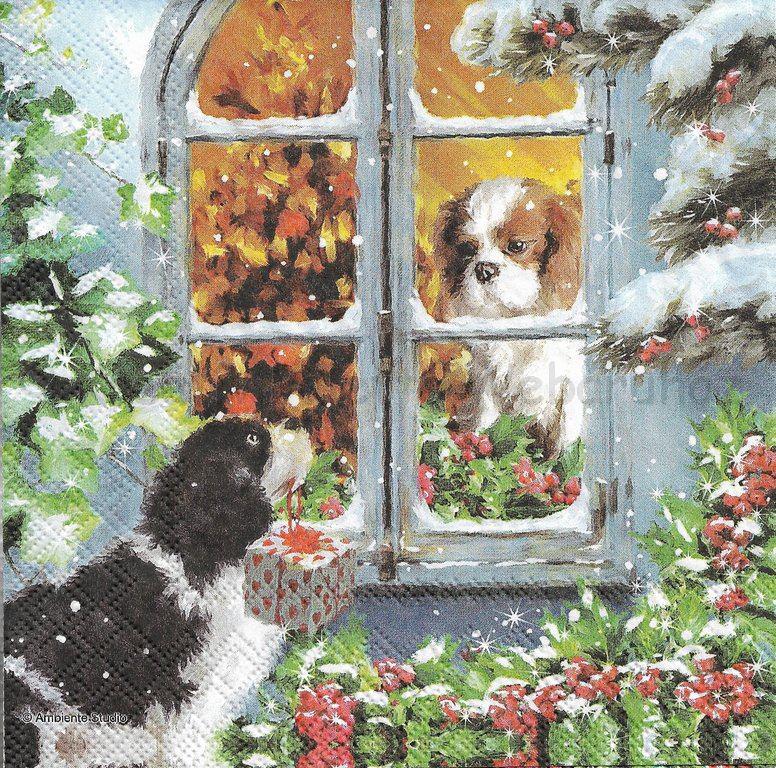 Szalvéta - kutya szerelem