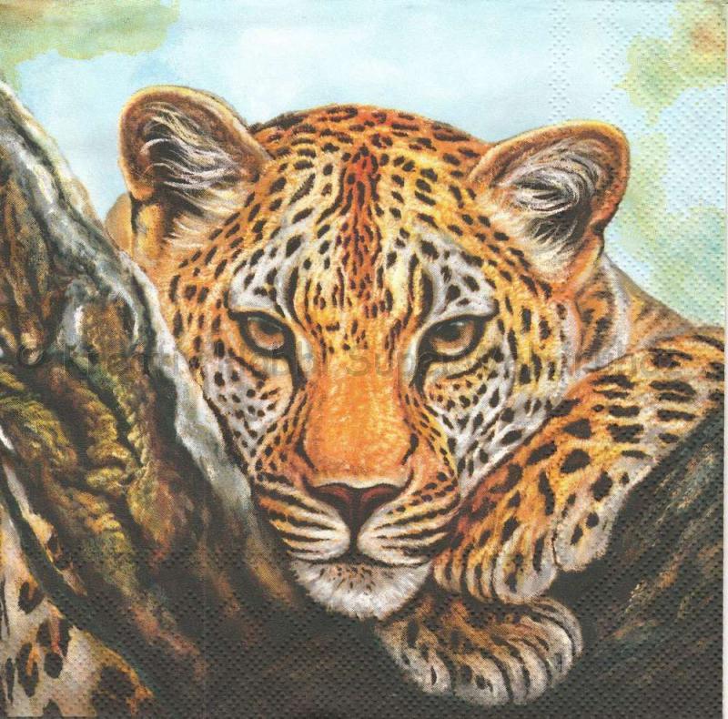 Szalvéta - leopárd