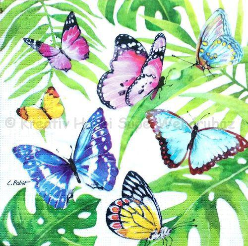 Szalvéta - lepke, pillangó - Tropical Butterflies