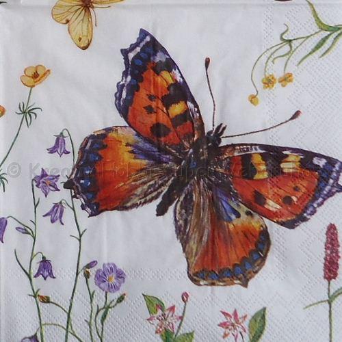 Szalvéta - lepkék, tarka pillangók