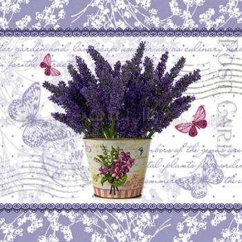 Szalvéta - levendula cserépben - Flowering Lavender