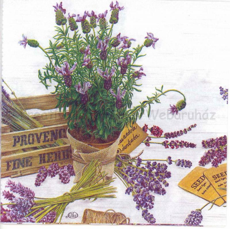 Szalvéta - levendula kert - lavender garden