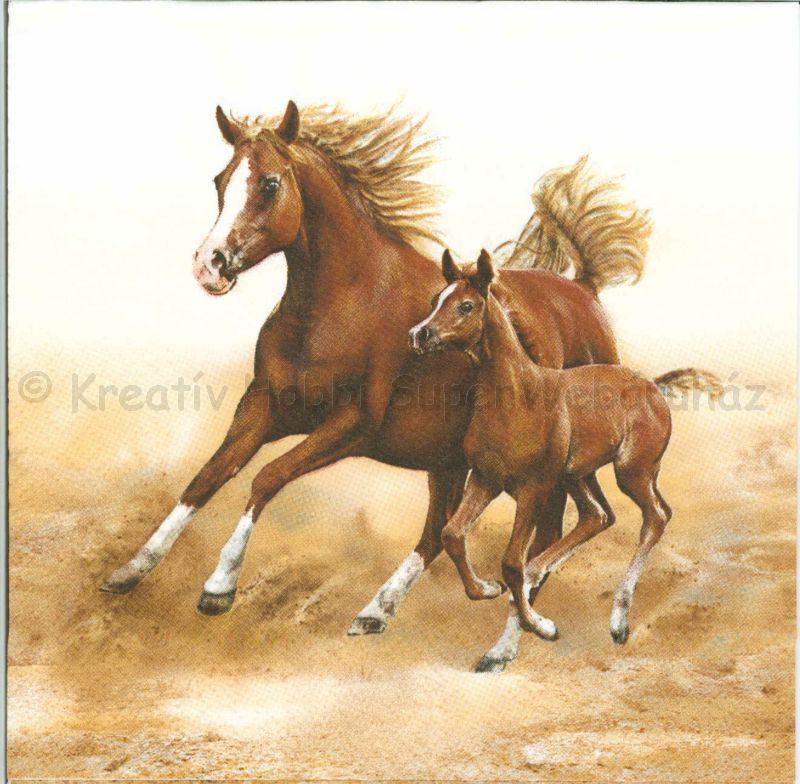 Szalvéta - ló csikójával