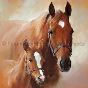 Szalvéta - ló csikójával - Horse with Foal