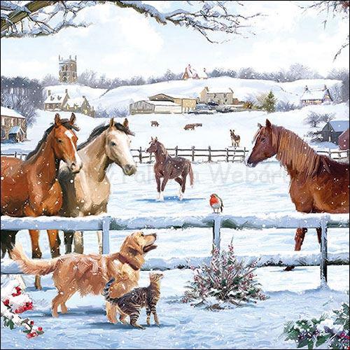 Szalvéta -  lovak télen