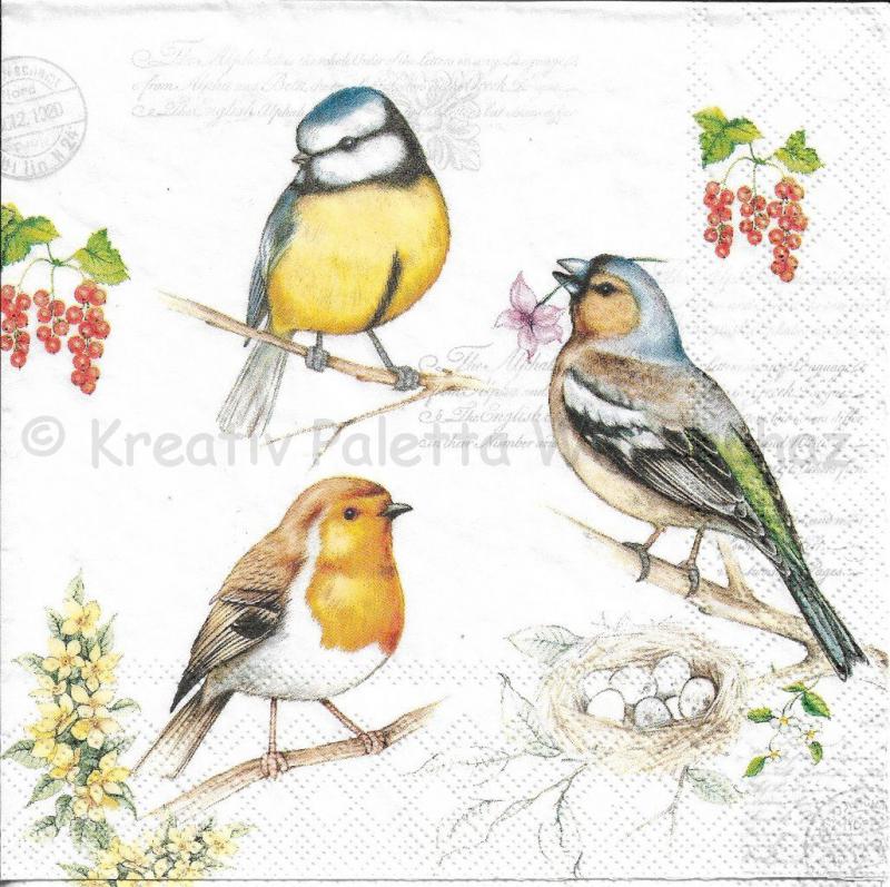 Szalvéta - madarak a faágon