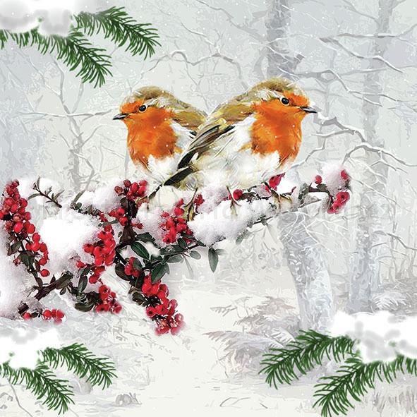 Szalvéta - madarak télen