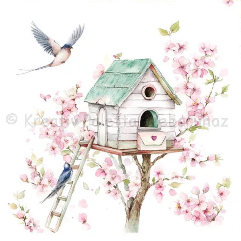 Szalvéta - Madárház tavasszal