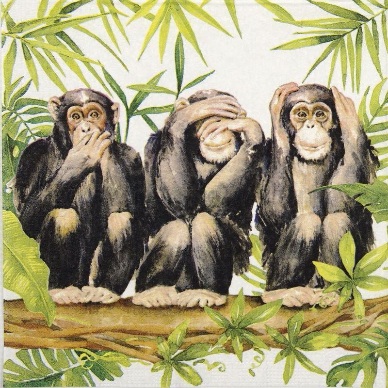 Szalvéta - majmok
