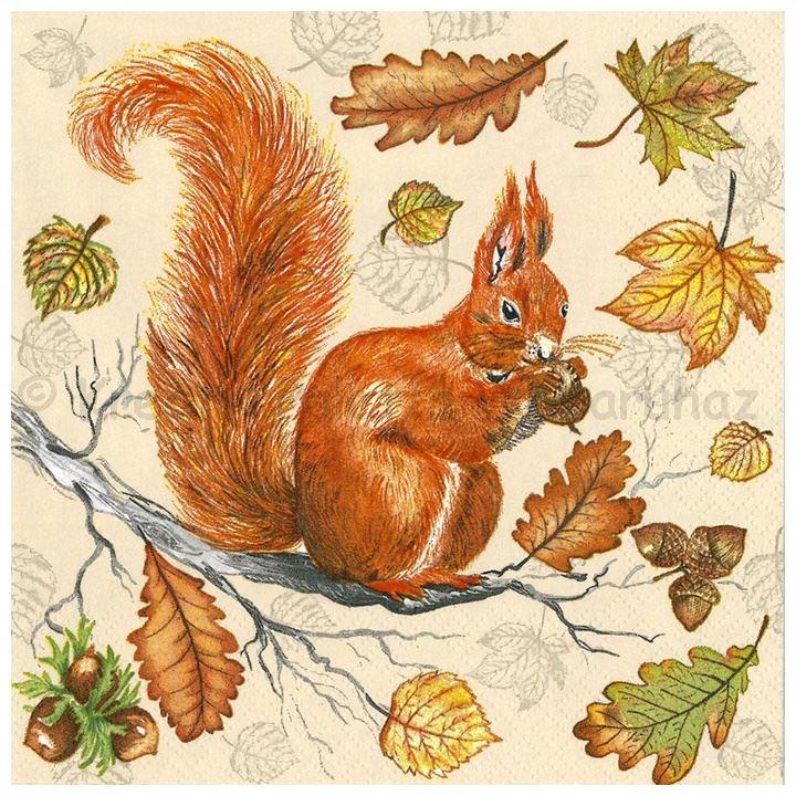 Szalvéta - mókus, öszi falevelek