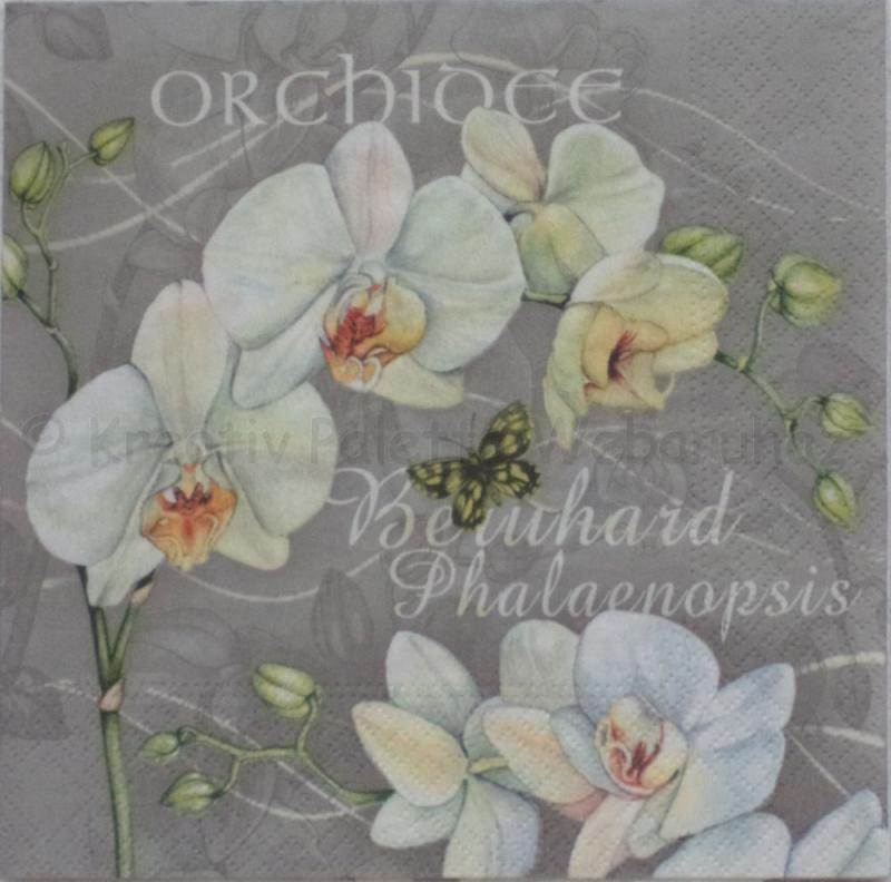 Szalvéta - orchidea