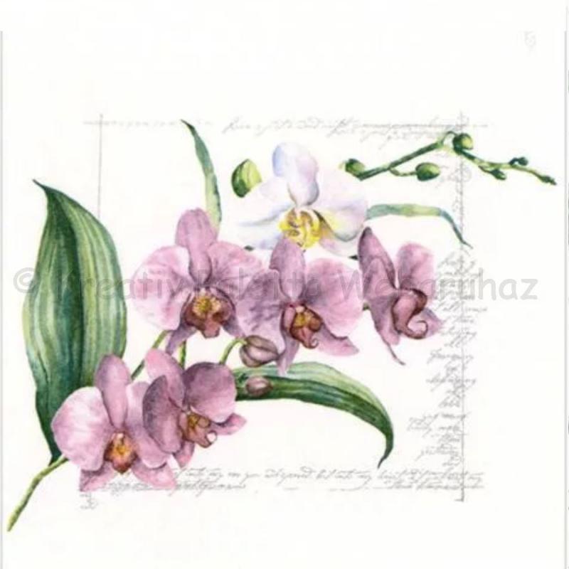 Szalvéta - orchidea pink