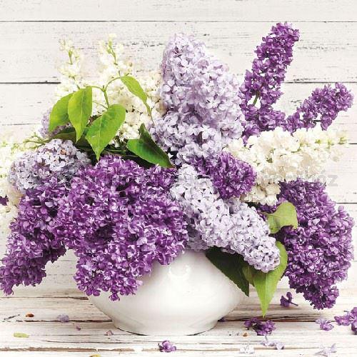 Szalvéta - orgona virág - Syringa